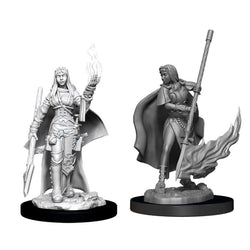 Pathfinder Deep Cuts Unpainted Miniatures: W11 Female Human Oracle (Magic User)