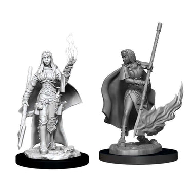 Pathfinder Deep Cuts Unpainted Miniatures: W11 Female Human Oracle (Magic User)