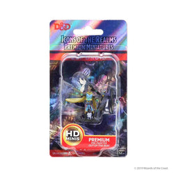 Dungeons & Dragons Icons of the Realms Premium Figures: W1 Elf Female Druid