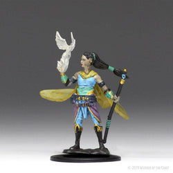 Dungeons & Dragons Icons of the Realms Premium Figures: W1 Elf Female Druid