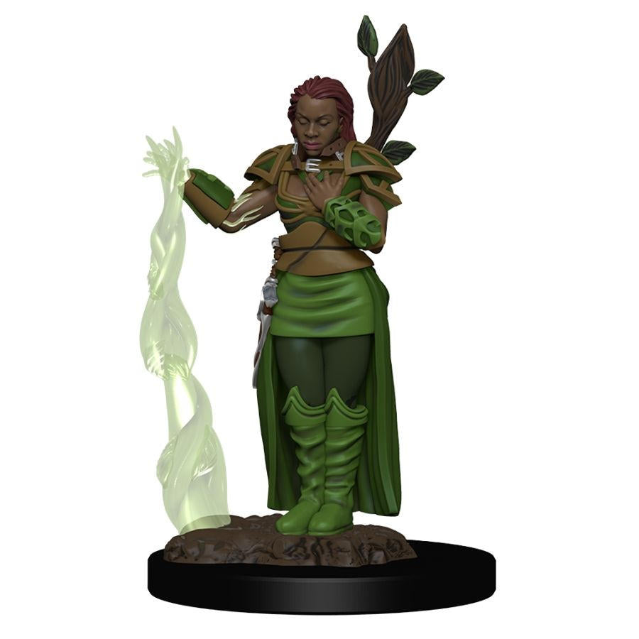 Dungeons & Dragons Icons of the Realms Premium Figures: W2 Human Female Druid
