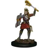 Dungeons & Dragons Icons of the Realms Painted Miniatures: W6 Human Cleric