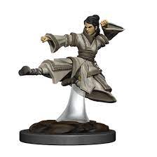 Dungeons & Dragons Icons of the Realms Painted Miniatures: W6 HUman Monk