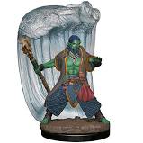 Dungeons & Dragons Icons of the Realms Painted Miniatures: W6 Genasi Druid
