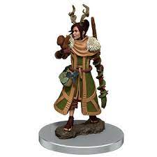 Dungeons & Dragons Icons of the Realms Painted Miniatures: W7 Human Druid