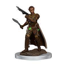 Dungeons & Dragons Icons of the Realms Painted Miniatures: W7 Shifter Rogue