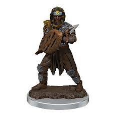 Dungeons & Dragons Icons of the Realms Painted Miniatures: W7Human Fighter