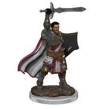 Dungeons & Dragons Icons of the Realms Painted Miniatures: W7 Human Paladin