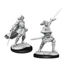 Dungeons & Dragons Critical Role Unpainted Miniatures: W1 Half-Elf Xhorhas Paladin