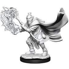 Dungeons & Dragons Critical Role Unpainted Miniatures: W1 Hobgoblin Wizard and Druid