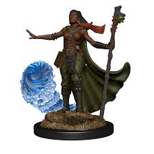 Dungeons & Dragons Nolzur`s Marvelous Unpainted Miniatures: W11 Female Human Wizard