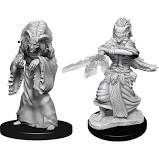 Dungeons & Dragons Nolzur`s Marvelous Unpainted Miniatures:  W14 Night Hag & Dusk Hag