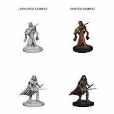 Pathfinder Battle Premium Figure: Human Champion