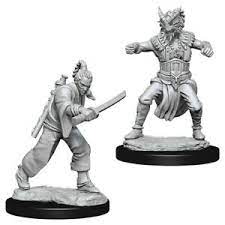 Dungeons & Dragons Nolzur`s Marvelous Unpainted Miniatures:  W8 Human Monk