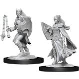 Dungeons & Dragons Nolzur`s Marvelous Unpainted Miniatures:  W14 Kalashtar Cleric