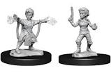 Dungeons & Dragons Nolzur`s Marvelous Unpainted Miniatures:  W14 Gnome Artificer F