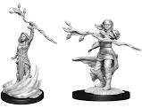 Dungeons & Dragons Nolzur`s Marvelous Unpainted Miniatures:  W14 Human Druid