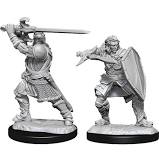 Dungeons & Dragons Nolzur`s Marvelous Unpainted Miniatures:  W14 Human Paladin