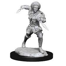 Magic the Gathering Unpainted Miniature W14 Kaya