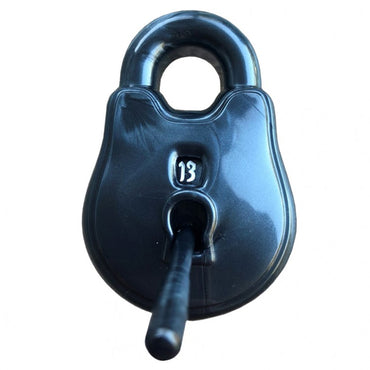 The Rouge D20 Lock and Pick