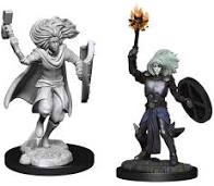 Dungeons & Dragons Nolzur`s Marvelous Unpainted Miniatures:  W14 Changeling Cleric