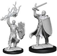 Dungeons & Dragons Nolzur`s Marvelous Unpainted Miniatures:  W14 Half-Elf Paladin