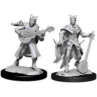 Dungeons & Dragons Nolzur`s Marvelous Unpainted Miniatures:  W14 Tiefling Bard