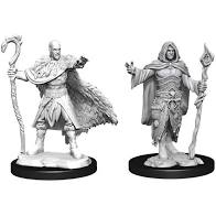 Dungeons & Dragons Nolzur`s Marvelous Unpainted Miniatures:  W14 Human Druid