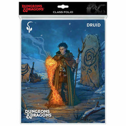 Dungeons And Dragons Character  Folio