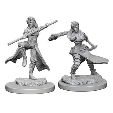 Dungeons & Dragons Nolzur`s Marvelous Unpainted Miniatures: W1 Female Human Monk