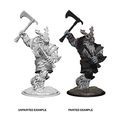 Nolzur's Marvelous Miniatures: Frost Giant