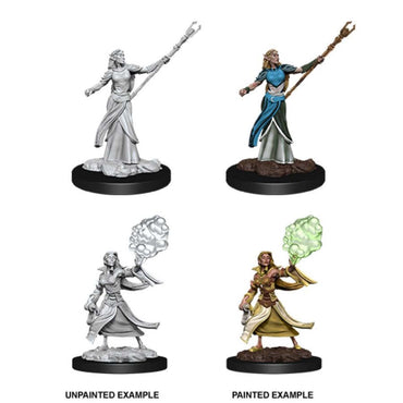 Dungeons & Dragons Nolzur`s Marvelous Unpainted Miniatures: W12 Elf Sorcerer Female