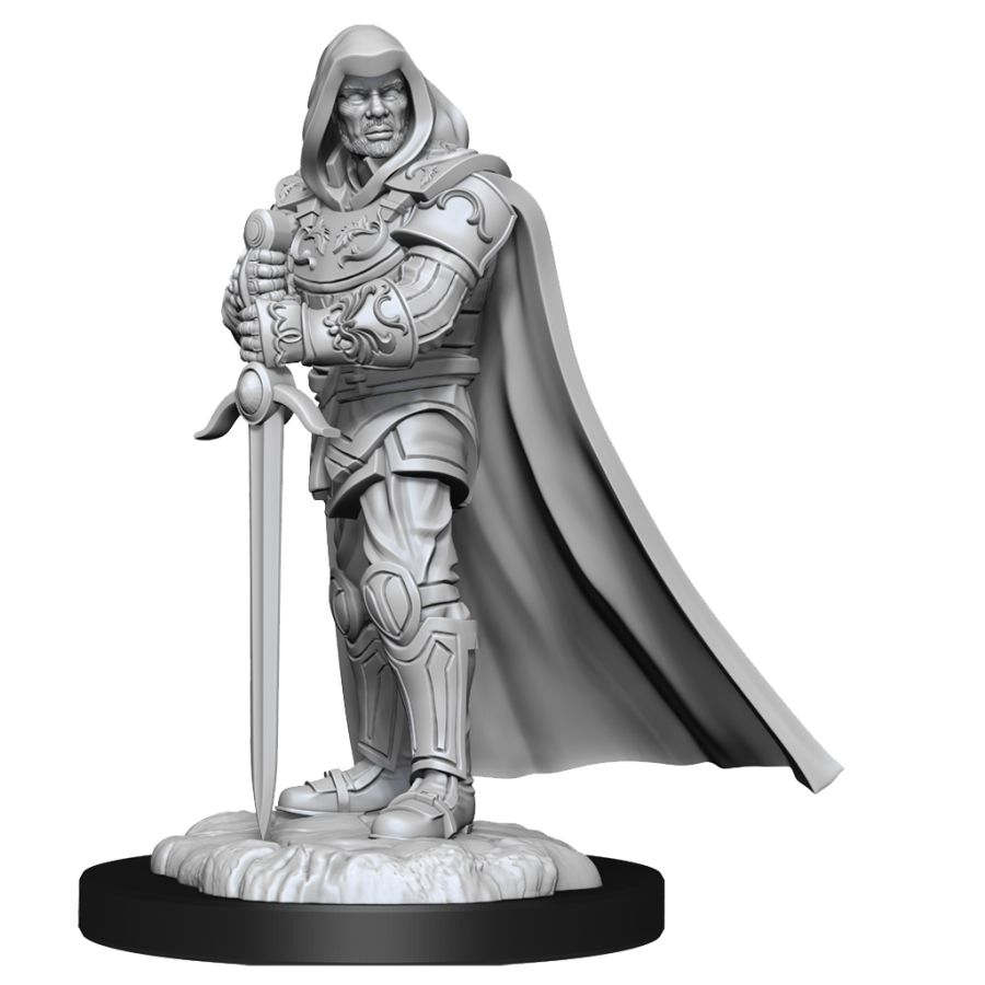 Dungeons & Dragons Nolzur`s Marvelous Unpainted Miniatures: W13 Human Paladin