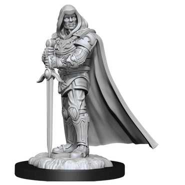 Dungeons & Dragons Nolzur`s Marvelous Unpainted Miniatures: W13 Human Paladin