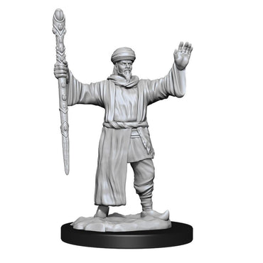 Dungeons & Dragons Nolzur`s Marvelous Unpainted Miniatures: W13 Human, Wizard