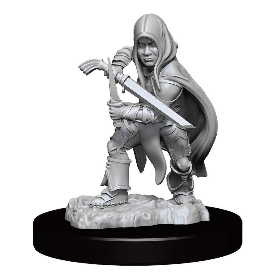Dungeons & Dragons Nolzur`s Marvelous Unpainted Miniatures: W13 Halfling Rogue