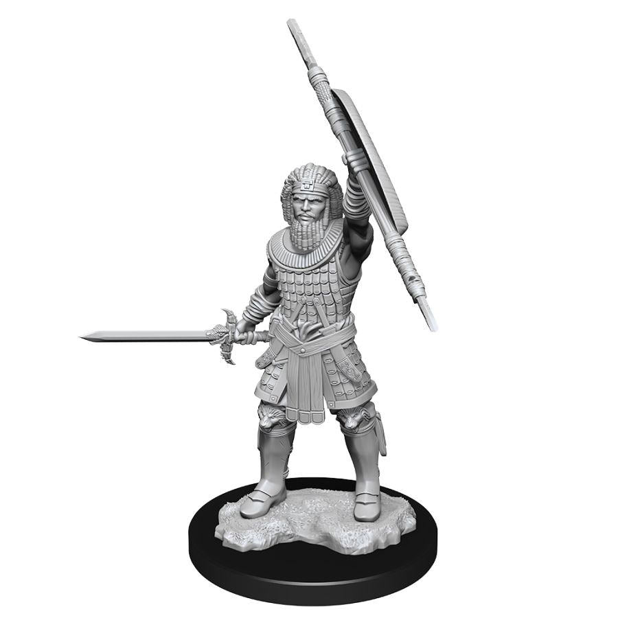 Dungeons & Dragons Nolzur`s Marvelous Unpainted Miniatures: W13 Human Fighter