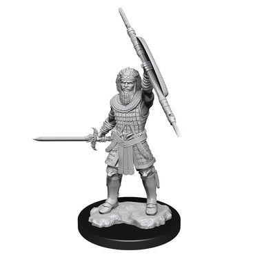 Dungeons & Dragons Nolzur`s Marvelous Unpainted Miniatures: W13 Human Fighter