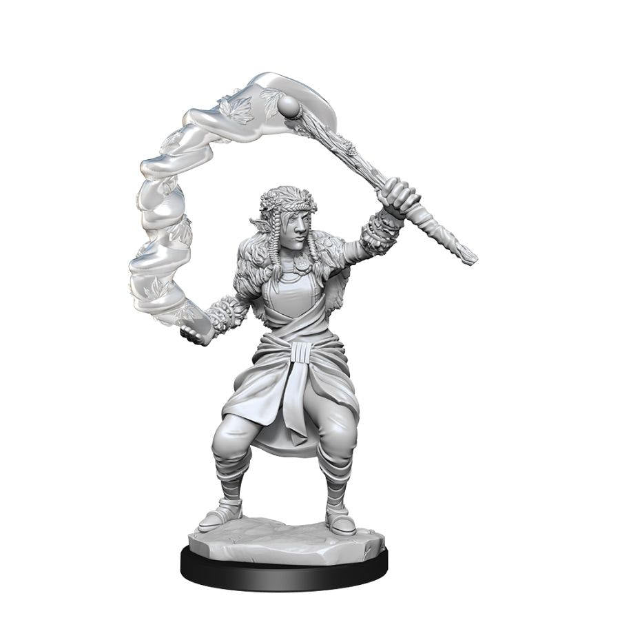 Dungeons & Dragons Nolzur`s Marvelous Unpainted Miniatures: W13 Firbolg Druid