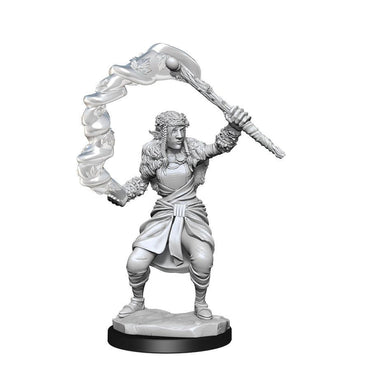 Dungeons & Dragons Nolzur`s Marvelous Unpainted Miniatures: W13 Warforged Fighter