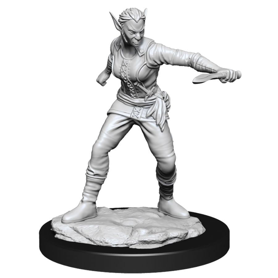 Dungeons & Dragons Nolzur`s Marvelous Unpainted Miniatures: W13 Shifter Rogue
