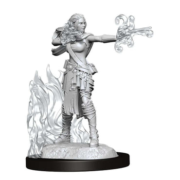 Dungeons & Dragons Nolzur`s Marvelous Unpainted Miniatures: W13 Multiclass Warlock +Sorcerer