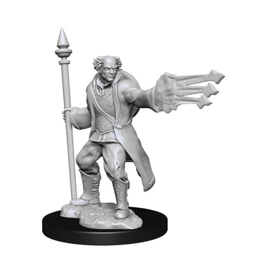 Dungeons & Dragons Nolzur`s Marvelous Unpainted Miniatures: W13 Multiclass Cleric+ Wizard