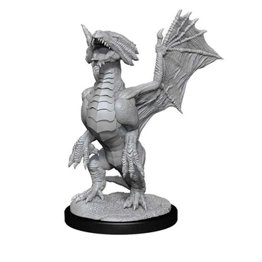 Dungeons & Dragons Nolzur`s Marvelous Unpainted Miniatures: W13 Silver Dragon Wyrmling & Halfling Dragon Friend