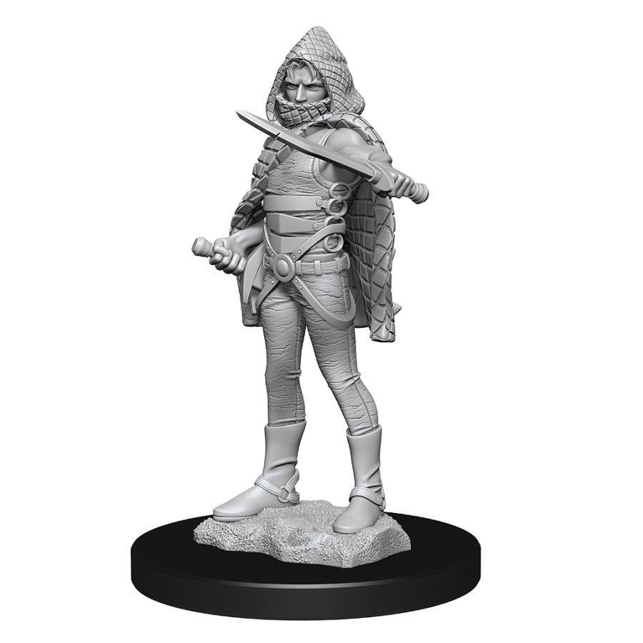 Dungeons & Dragons Nolzur`s Marvelous Unpainted Miniatures: W13 Darkling Elder & Darklings