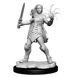 Magic: the Gathering Unpainted Miniatures W03: Rowan & Will Kenrith