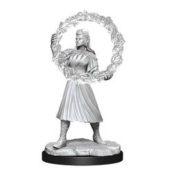 Magic: the Gathering Unpainted Miniatures W03: Rootha & Zimone