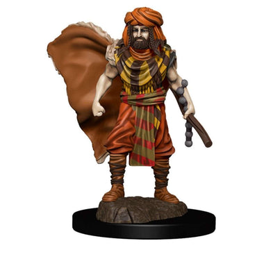 Dungeons & Dragons Icons of the Realms Premium Figures: W4 Human WDruid